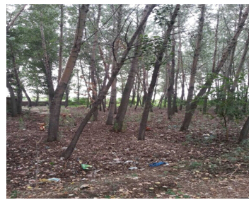 1̖(h��o) ��ɽ��ǧɽ�^(q��)���h(yu��n)�(zh��n)�O���´弯�w����ʹ�Ù�(qu��n)