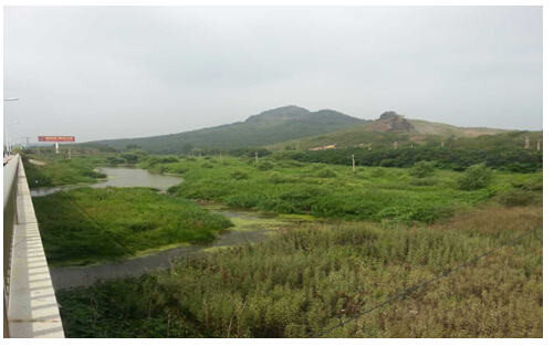 10̖(h��o) ��ɽ�Ǘ����Ӵ������(c��)�ֵ�