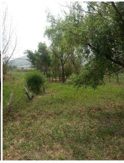 19̖(h��o) ��ɽ��ǧɽ�^(q��)�|��ɽ�(zh��n)�|���Ӵ弯�w����ʹ�Ù�(qu��n)