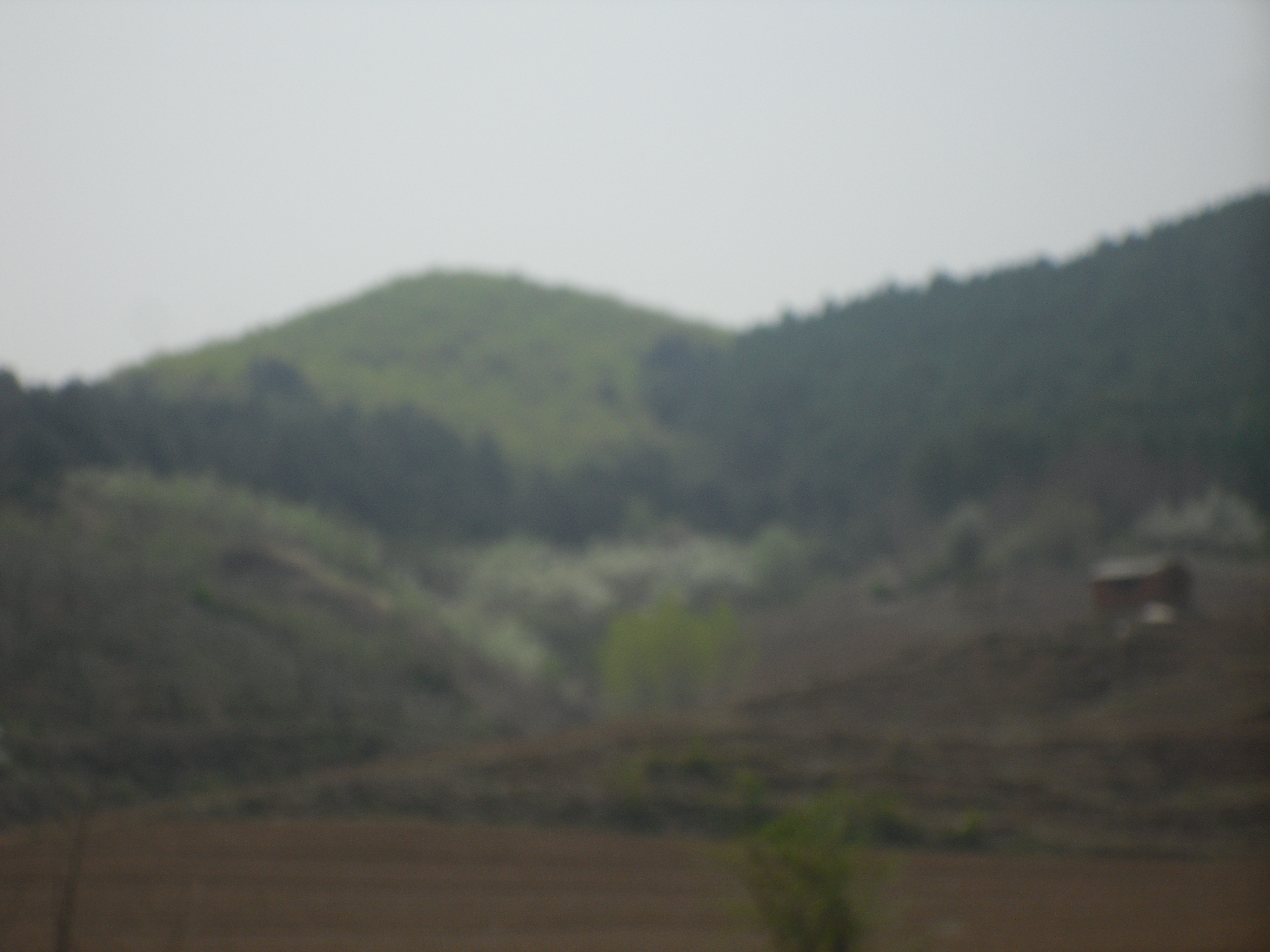 6̖(h��o) �����в���(zh��n)�����������ɽ��ʹ�Ù�(qu��n)�����Ϲ���(sh��)