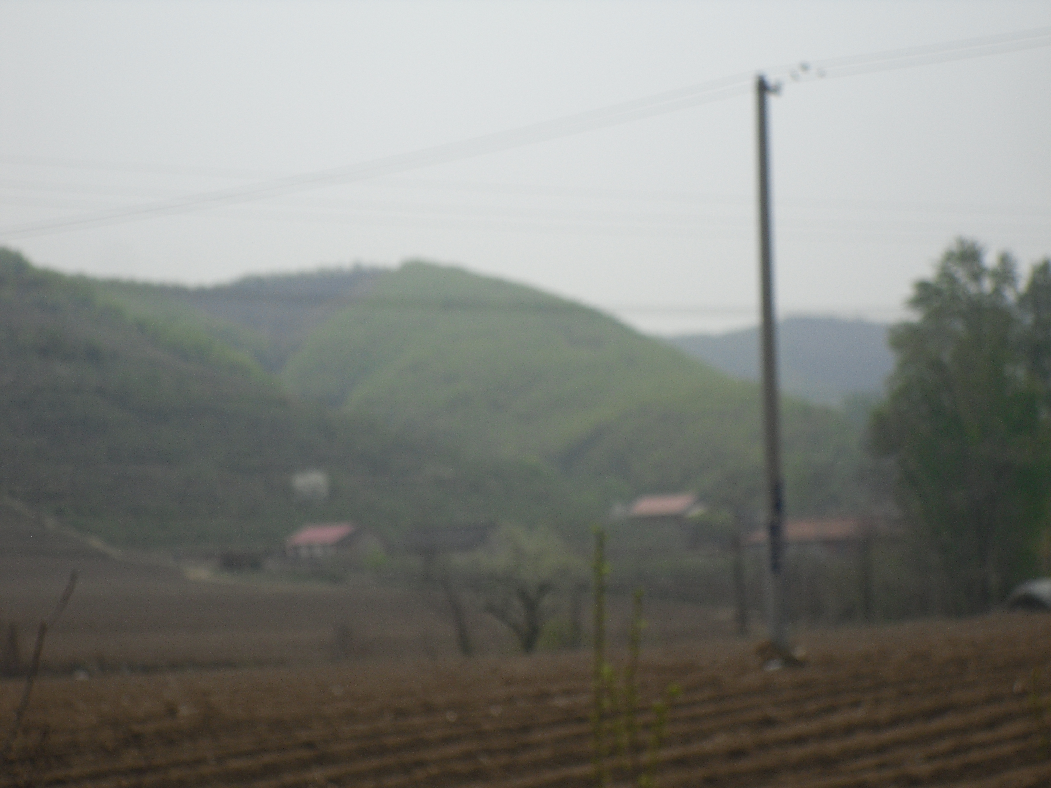 5̖(h��o) �����в���(zh��n)������ɽ��(ch��ng)�а���(qu��n)