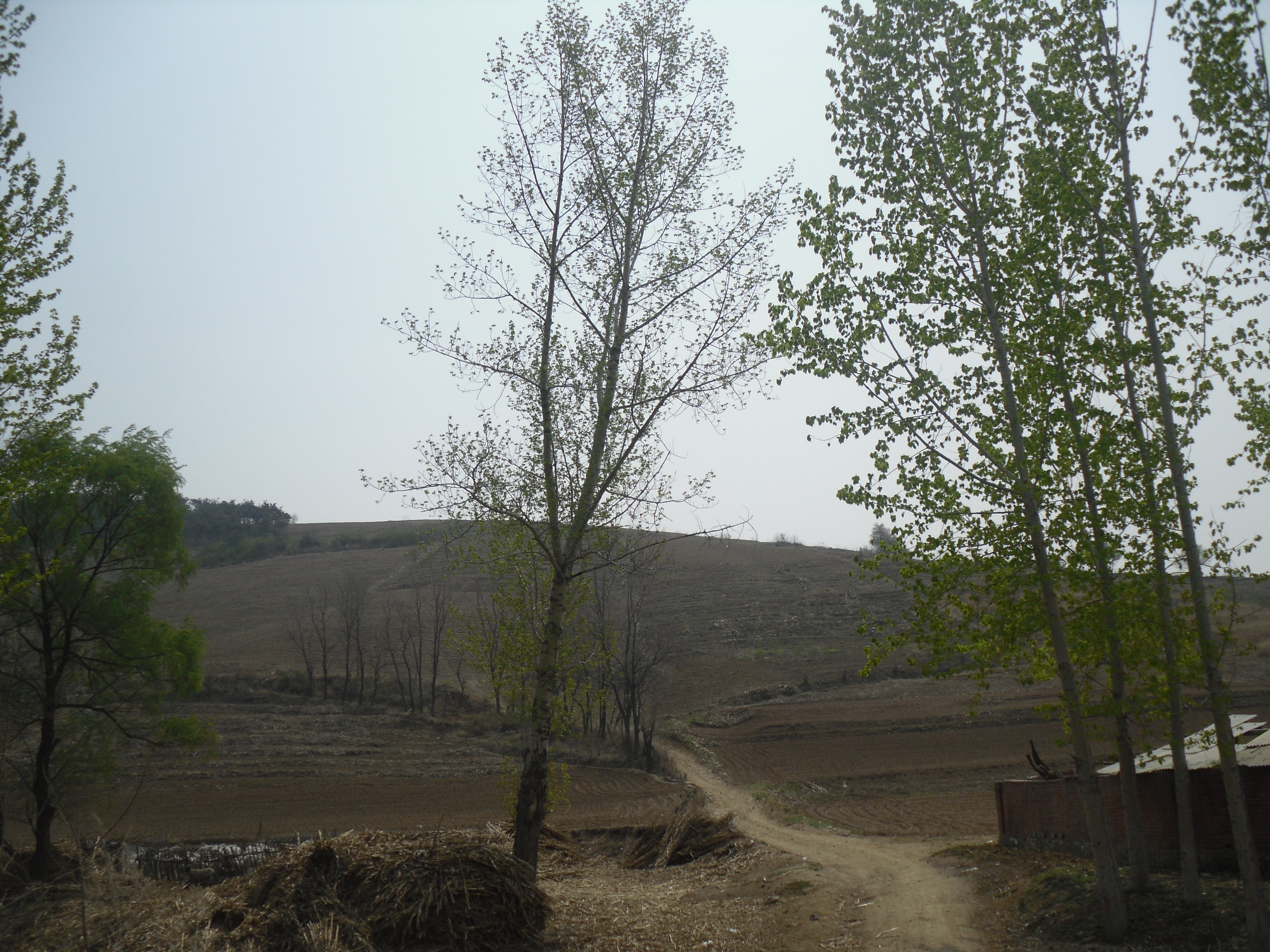 8̖(h��o) �����в���(zh��n)���ʹ�3�M��ɽɽ�ϸ���ʹ�Ù�(qu��n)