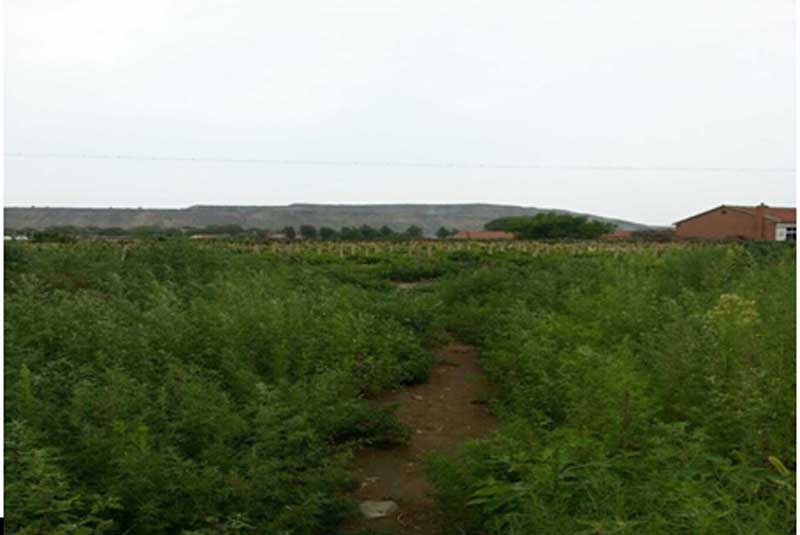 31̖(h��o) ��ɽ��ǧɽ�^(q��)�Ƽҷ��(zh��n)�W(xu��)����C(j��)��(d��ng)����ʹ�Ù�(qu��n)